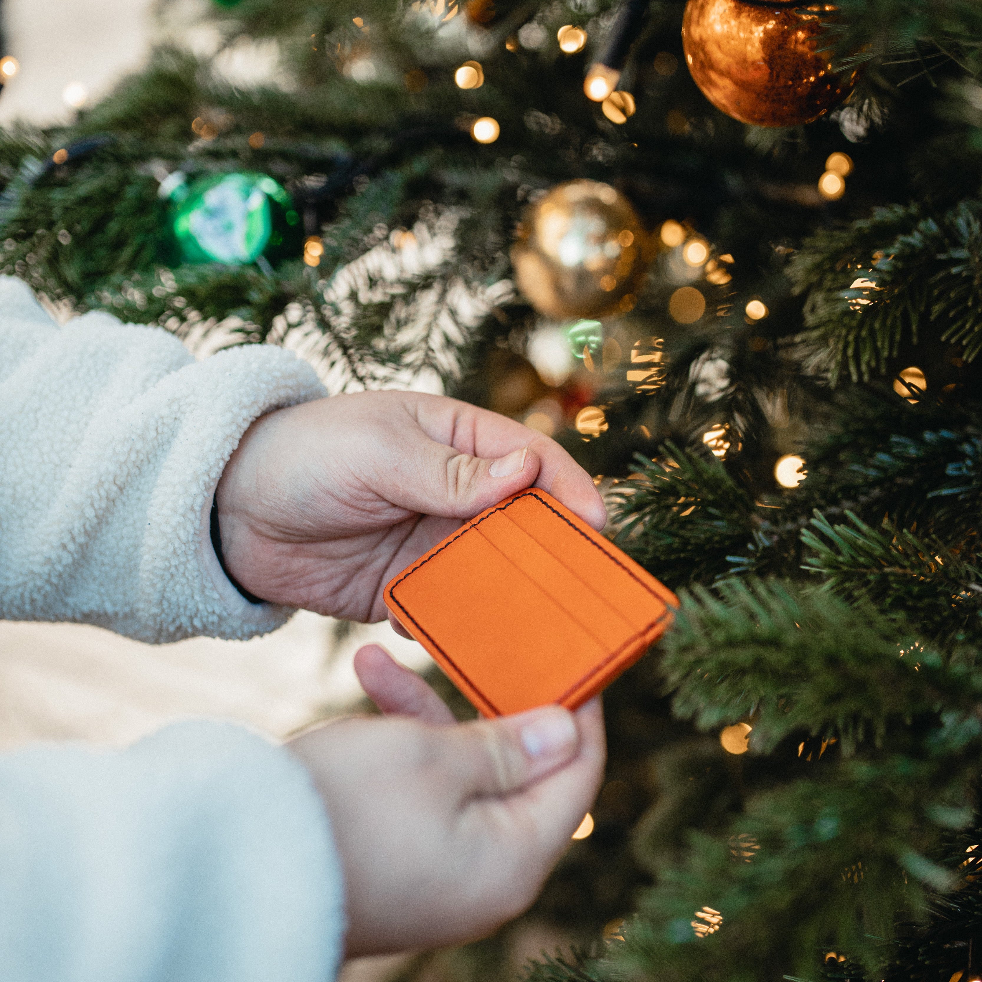 The Essential Cardholder